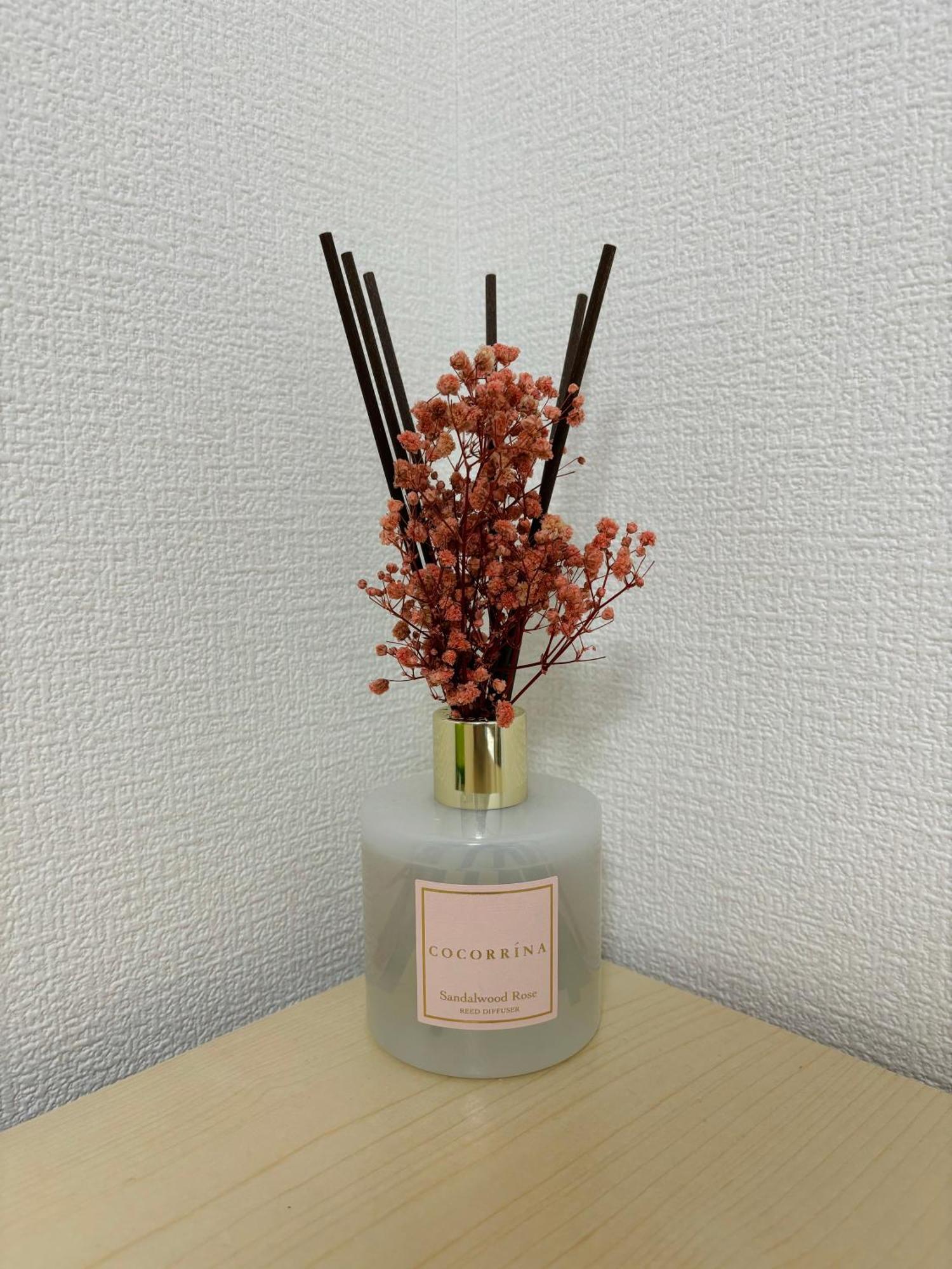 Bon House Kanamachi Direct To Sensoji Skytree Disneyland Airport Free Parking Токио Екстериор снимка